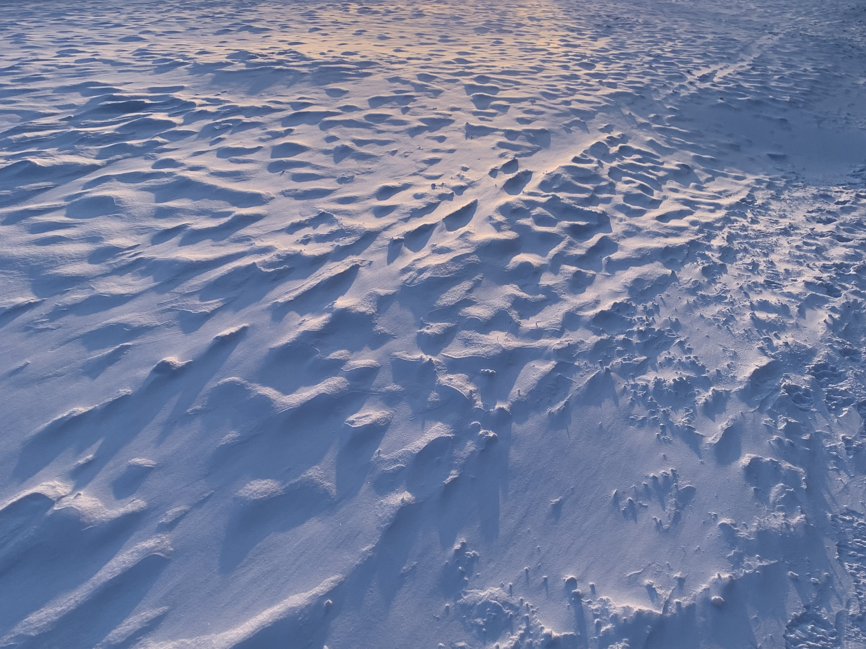 light on snow