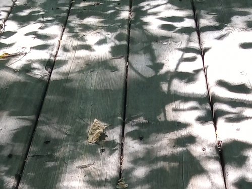 shadows on wood