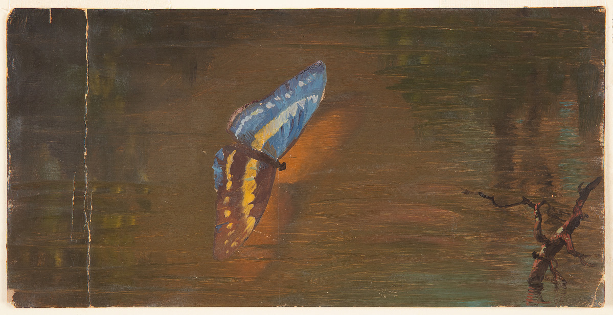 Frederic Edwin Church | 'Butterfly over Water', 1865-75
