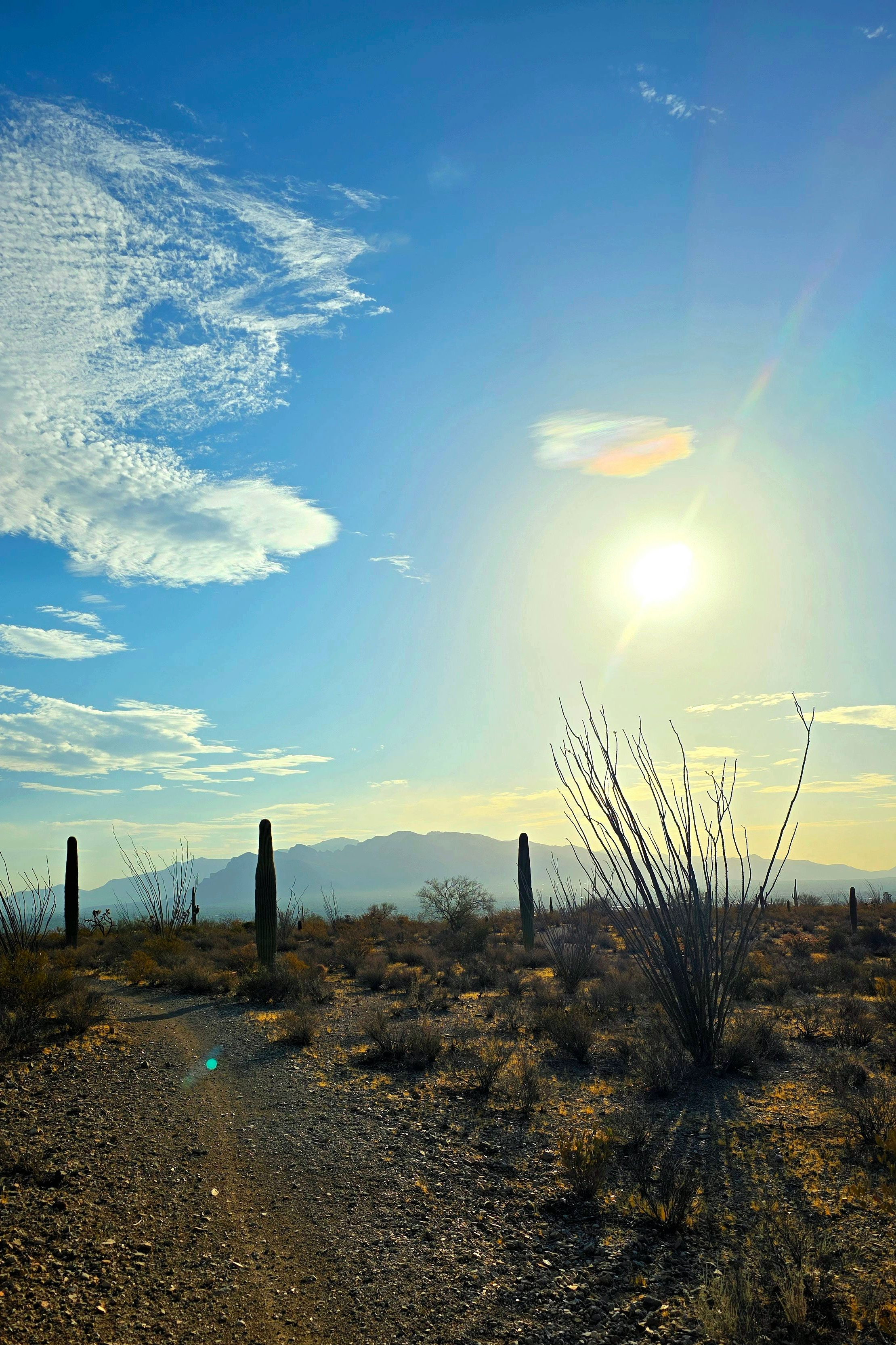 desert sky ground